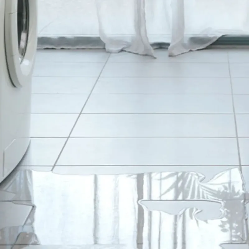 Appliance Leak Cleanup in Mayfield, KY