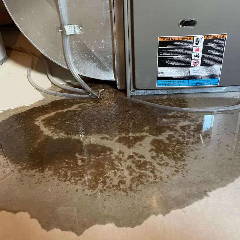 Pipe Burst and Leak Restoration in Mayfield, KY