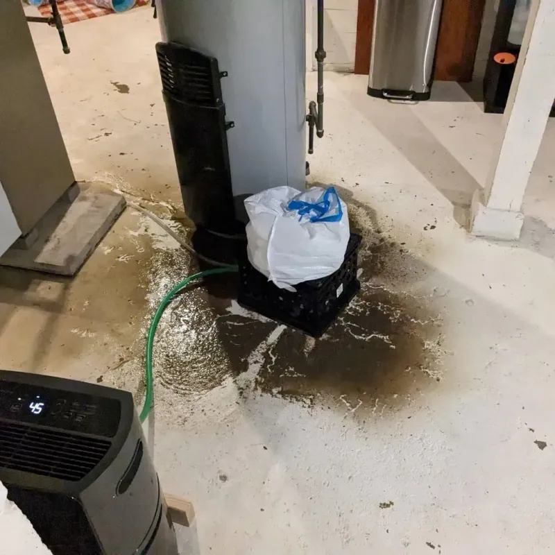 Sewage Backup Cleanup Service in Mayfield, KY